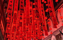 Monster Day Tours Shanghai45