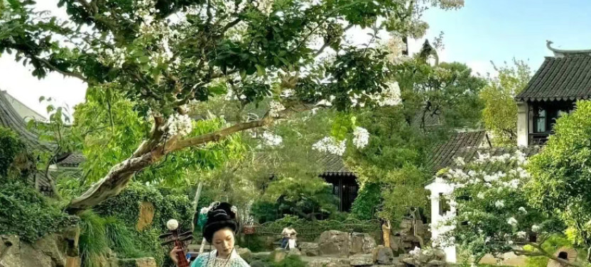 Private Suzhou Day Trip from Shanghai with UNESCO Gardens & Canals