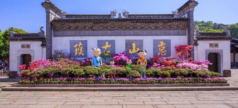 Private Wuxi Day Tour: Classical Gardens, Huishan Ancient Town & Taihu Lake