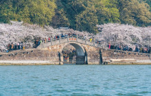 Monster Day Tours Shanghai9