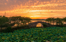 Monster Day Tours Shanghai12