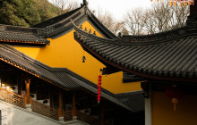 Monster Day Tours Shanghai5