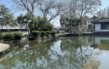 Monster Day Tours Shanghai11