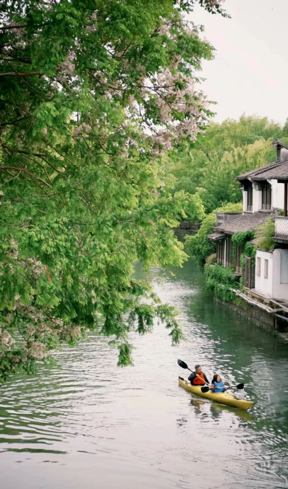 Monster Day Tours Shanghai