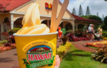 Aloha Fantasy Tours,LLC5
