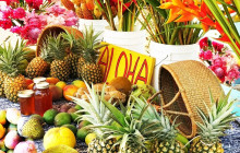 Aloha Fantasy Tours,LLC6
