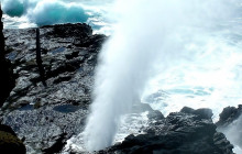Aloha Fantasy Tours,LLC7