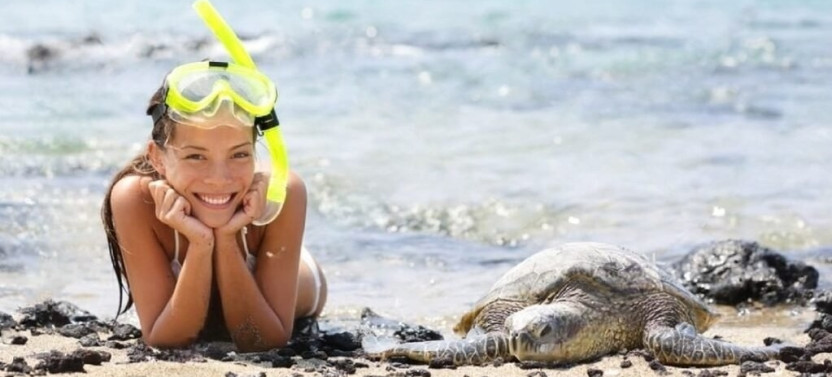Private Oahu Circle Island Full-Day Tour