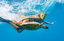 Aloha Fantasy Tours,LLC10