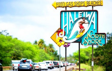 Aloha Fantasy Tours,LLC15