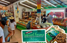 Aloha Fantasy Tours,LLC18