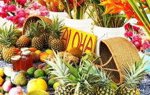 Aloha Fantasy Tours,LLC19
