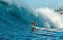 Aloha Fantasy Tours,LLC31