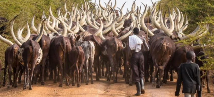 7 Day African Cultural Tour Uganda