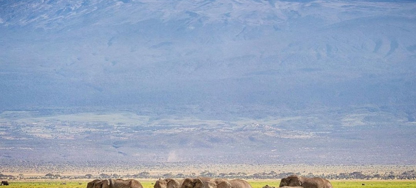 7 Days Kenya Wildlife Safari Tour