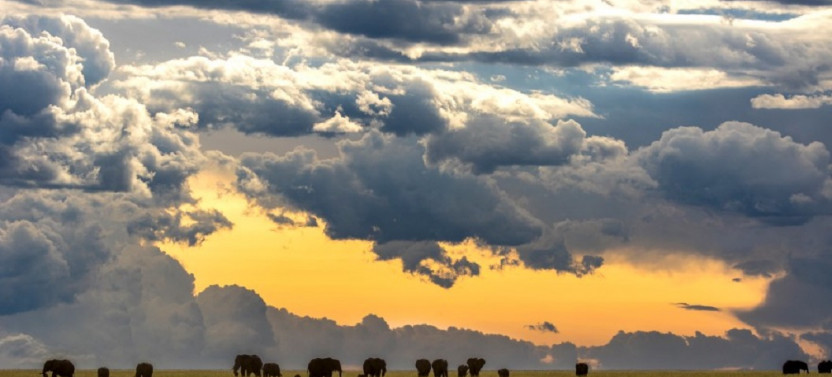 3 Day Masai Mara Safari