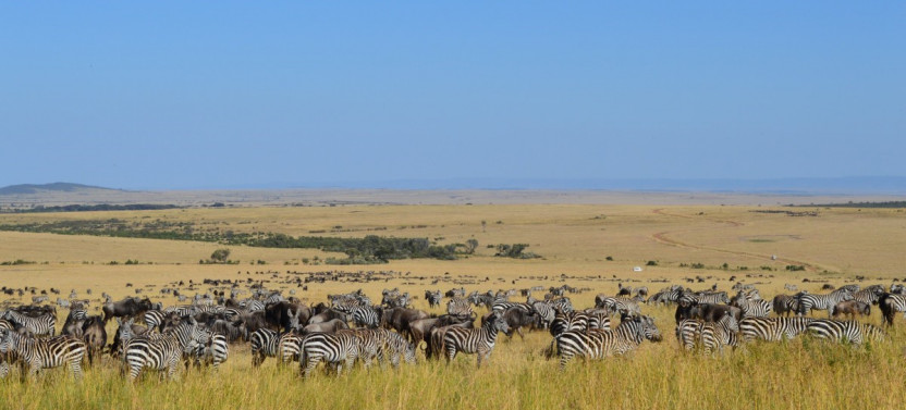 7-Day Luxury Kenya Safari Holiday