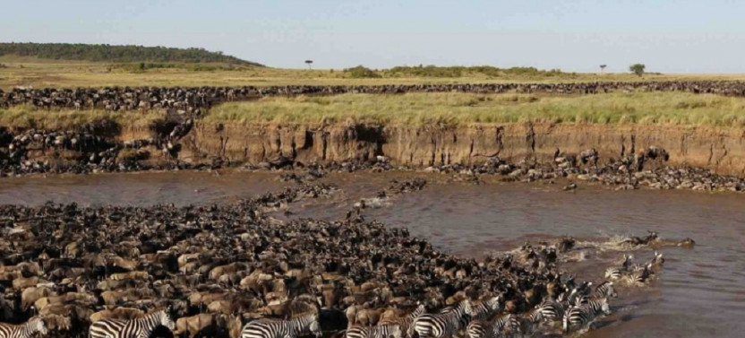 2 Day Fly in Serengeti Safari in Tanzania