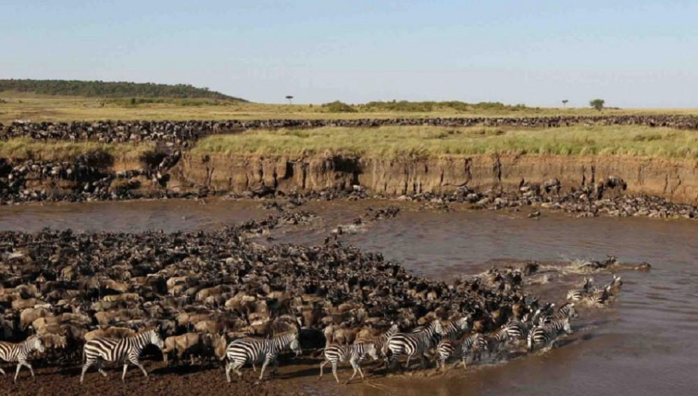 2 Day Fly in Serengeti Safari in Tanzania