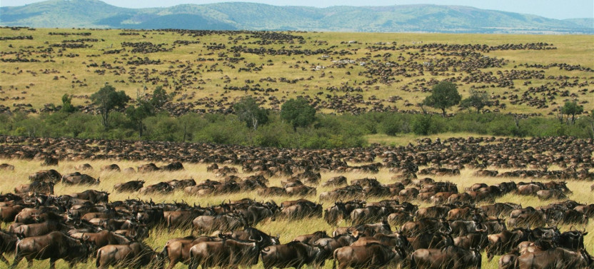 2-Day Masai Mara Safari