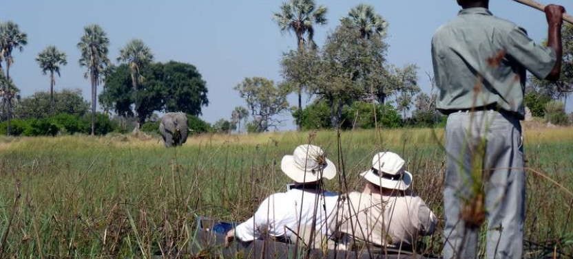5-Day Great Botswana Safari