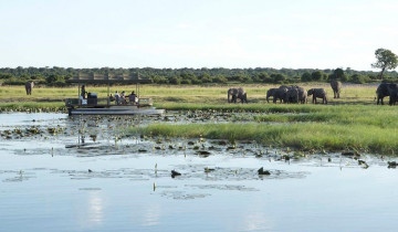 A picture of 8-Day Botswana Chobe, Linyanti and the Delta
