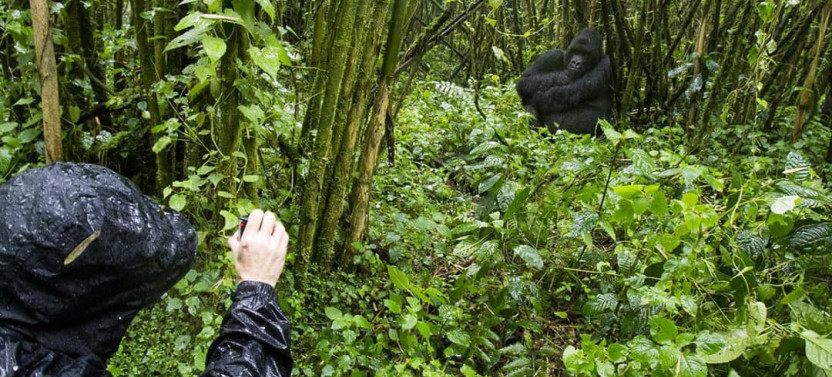 18 Day Kenya Budget Safari