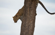 Explorer Kenya Tours and Travel2