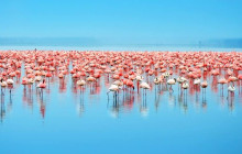 Explorer Kenya Tours and Travel3