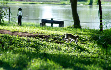 Explorer Kenya Tours and Travel4