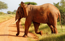 Explorer Kenya Tours and Travel7