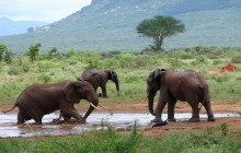 Explorer Kenya Tours and Travel8