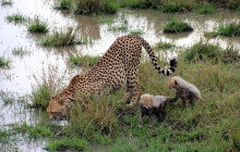 Explorer Kenya Tours and Travel2