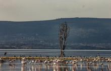 Explorer Kenya Tours and Travel3