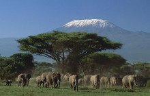 Explorer Kenya Tours and Travel2