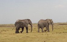 Explorer Kenya Tours and Travel1