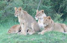 Explorer Kenya Tours and Travel3