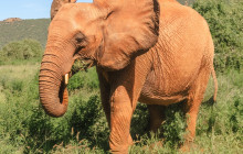 Explorer Kenya Tours and Travel2