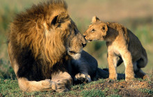 Explorer Kenya Tours and Travel4