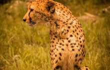 Explorer Kenya Tours and Travel1