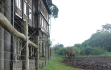 Explorer Kenya Tours and Travel4