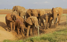 Explorer Kenya Tours and Travel1