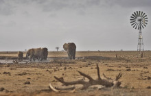 Explorer Kenya Tours and Travel5