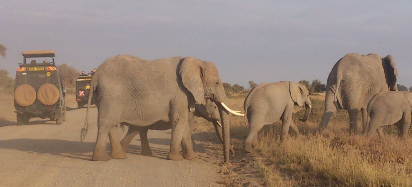 9- Day Serengeti Wildebeest Migration Safari Tour