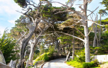GuideAlong (GyPSy Guide)6