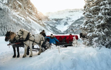 Wild Northern Journey15