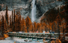 Wild Northern Journey5