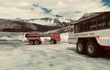 Wild Northern Journey11