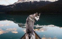 Wild Northern Journey2