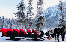 Wild Northern Journey7